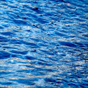 Kivi kaunilt karge kate